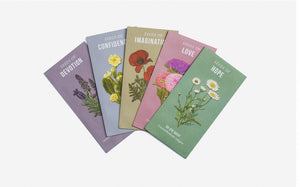 Seeds of Virtue Notecard & Seed Set - Flowers