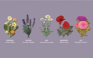 Seeds of Virtue Notecard & Seed Set - Flowers