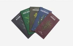 Seeds of Virtue Notecard & Seed Set - Herbs
